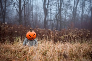 Balkabağı kafası oyulmuş ürkünç korkuluk sonbahar tarlasında kurumuş uzun çimlerde saklanıyor ve arka planda çıplak sisli orman var. Cadılar Bayramı konsepti