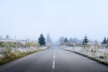 Sisli yol, sakin bir manzarada dondurucu sonbahar sabahına kadar uzanıyor. Soğuk hava ve yumuşak mevsimsel atmosferde kaynamış kırsal yol