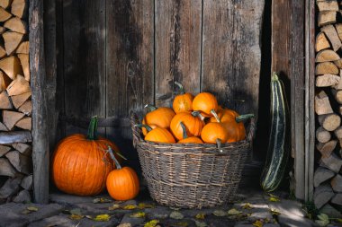 Köyün avlusunda eski ahşap ahır kapısının yanında hasat edilmiş turuncu balkabağı sepeti. Cadılar Bayramı ya da Şükran Günü tatili için festival sonbahar düzeninde gösterilen rahat kır manzarası