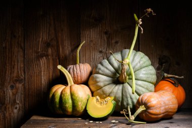 Farklı şekillerde dekoratif sonbahar balkabakları eski ahşap yüzeye dizilmiştir. Cadılar Bayramı ya da Şükran Günü tatili için festival sonbahar düzeninde gösterilen rahat kır manzarası