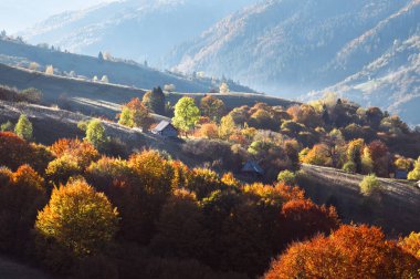 Sonbahar ağaçları, gündoğumunda sisli tepelerde, tahta kulübelerle ve yumuşak sisli dağ sıralarıyla parlar. Sonbahar renkleriyle sabah manzarası ve rüya gibi dağlık zemin