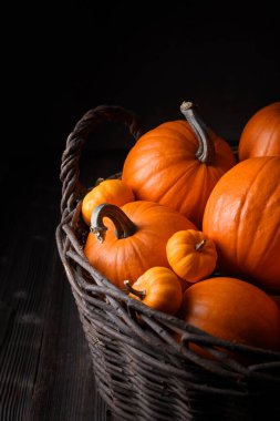 Hasır bahçe sepetinde çeşitli turuncu balkabakları kırsal sonbahar tarzında yakalandı. Bayram ve durgun yaşam için rahat hasat sahnesi