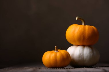 Beyaz ve turuncu tonlarda mini balkabakları, koyu kahverengi arka planda kırsal ahşap üzerinde dinlenir. Bebek Boo 'nun yumuşak mevsimlik ışık altında ezildiği dekoratif sonbahar düzeneği