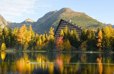 Slovakya Yüksek Tatras Ulusal Parkı 'ndaki Strbske Gölü' nü çevreleyen altın sonbahar ağaçları. Canlı sonbahar yaprakları ve berrak alp suyuyla huzurlu bir dağ inzivası.