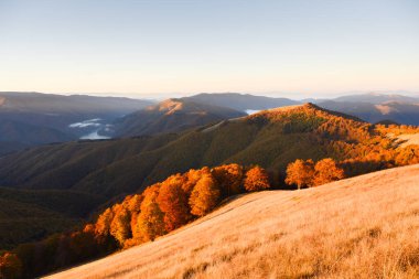 Gün batımından gelen sıcak ışık dağ manzarasında kızıl sonbahar kayın ormanlarında parlar. Akşam renkleri, sakin doğa manzarasında mevsimlik yeşillikleri vurgular. Dağlar manzarası