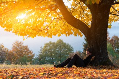 Altın gün batımı yaşlı kiraz ağacını ve yalnız adamı sonbahar açıklığında yıkıyor. Renkli mevsimsel an, huzurlu sonbahar atmosferi ve manzaralı durgunluk