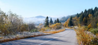 Sis, sonbahar dağlarında sakin bir sabah sahnesinde soğuk bir yolu kaplıyor. Sisli ormanda portakal ağaçlarıyla sonbahar yolu manzaralı. Peyzaj fotoğrafçılığı