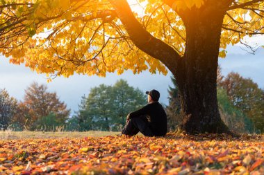 Yalnız adam, alacakaranlıkta parlayan sonbahar çayırında turuncu kiraz ağacının yanında dinleniyor. Sonbahar manzarası yumuşak günbatımı renkleri ve sakin manzarayla çekiliyor.