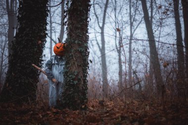 Balkabağı kafalı korkuluk sisli sonbahar ormanında soğuk bir sessizlikle baltayı kavrıyor. Cadılar Bayramı korku sahnesi sisli ağaçlarda ve perili ormanlık alanlarda yakalanır.