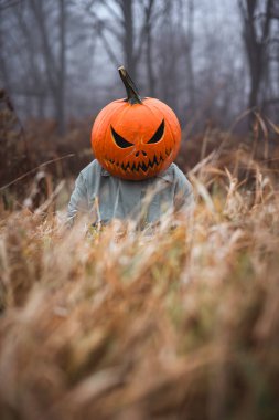 Sonbahar tarlasında, kabak yüzlü korkunç bir korkuluk arkasında sisli ağaçlarla birlikte sarı çimlerde pusuya yatar. Ürkütücü tarım arazilerinde çıplak ağaçlarla gösterilen Cadılar Bayramı figürü