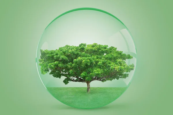 Концепция Сохранения Экологии Планеты Земля Деревьями Травой Внутри Защищенного Укрытия — стоковое фото