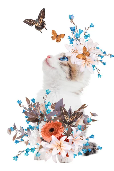 Abstrakti Nykytaiteen Kollaasi Muotokuva Nuori Kissanpentu Kukkia Eristetty Valkoisella Taustalla — kuvapankkivalokuva