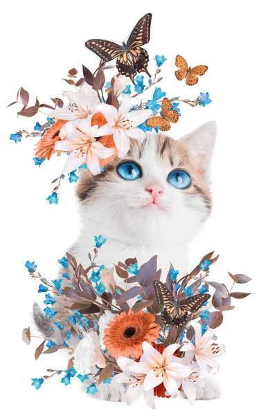 要旨白地に孤立した花を持つ若い子猫の現代美術のコラージュ肖像画 — ストック写真
