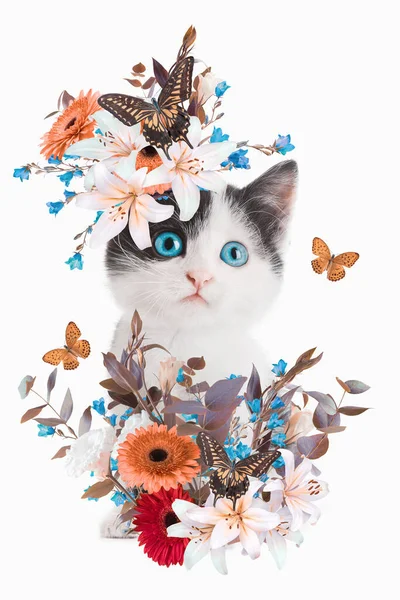 要旨白地に孤立した花を持つ若い子猫の現代美術のコラージュ肖像画 — ストック写真