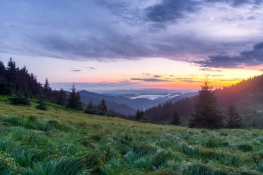 Beautiful sunrise. Sun rays enlighten the meadow. Spring morning. Landscape with high mountains. Panoramic view. Natural scenery. Wallpaper background. Touristic place Carpathian park.