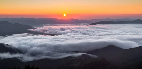Панорама Удивительным Восходом Солнца Пейзаж Высокими Горами Утренний Туман Роса — стоковое фото