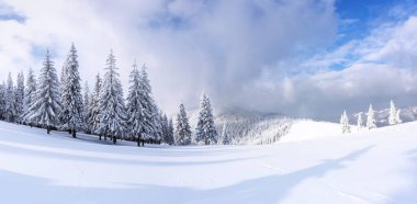 Kış günü manzara. Orman. Karla kaplı çimenler. Kar beyazı zirveli yüksek dağın panoramik manzarası. Kar yığınlarındaki Evergreen ağaçları. Noel Harikalar Diyarı. Karlı duvar kağıdı arkaplanı.