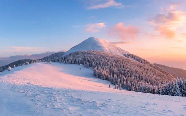 Vinter Fantastisk Soluppgång Höga Berg Med Snövita Toppar Panoramautsikt Över — Stockfoto