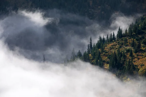 Foggy Matin Lever Soleil Paysage Avec Hautes Montagnes Forêt Des — Photo