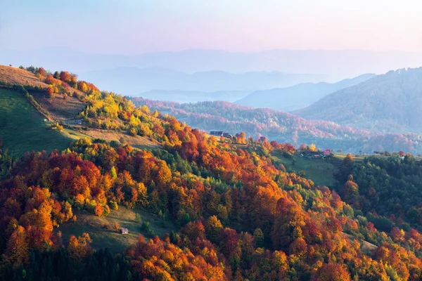 Spadająca Sceneria Krajobraz Pomarańczowym Czerwonym Zielonym Lasem Promienie Słońca Oświetlają — Zdjęcie stockowe
