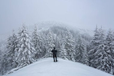 Kış gündoğumu. Adam karla kaplı çimlerde kalır. Ormana giden bir patika var. Yüksek dağ. Karlı arkaplan.