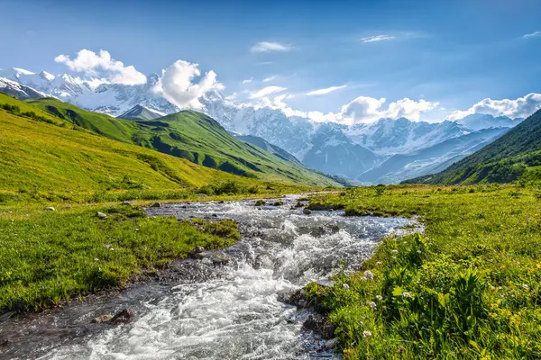 Renkli taşlarla dolu nehir akıntısı. Beyaz tepeleri ve ormanları olan dağlar. Yaz manzarası. Bulutlu mavi gökyüzü. Buzullu bir fotoğraf. Yukarı Svaneti, Gürcistan, Avrupa.