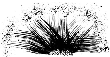 Deniz spreyi. fırça dalgası.