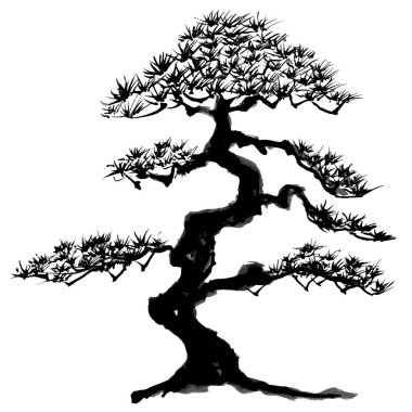 Çam ağacı. bonsai. el çizimi resimleme.
