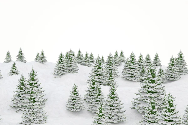 冬季景观雪景和冷杉圣诞树 — 图库照片