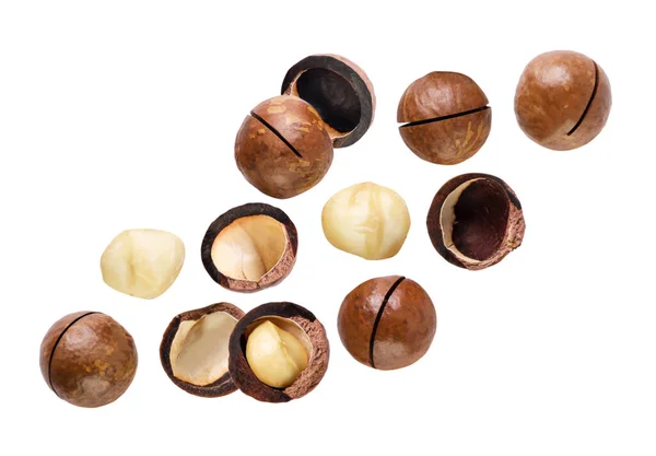 Nueces Macadamia Volando Cerca Sobre Fondo Blanco Conjunto —  Fotos de Stock
