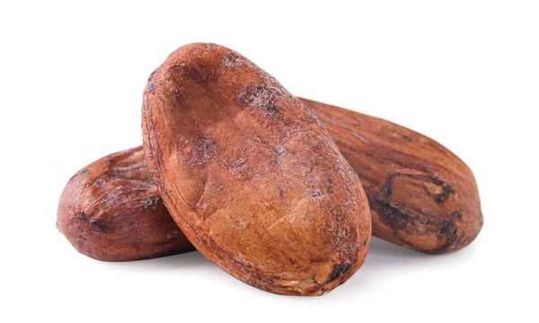 stock image Cocoa beans close-up on a white background. Isolated