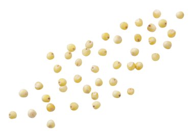 Beyaz arka planda darılar uçuşuyor. İzole edilmiş