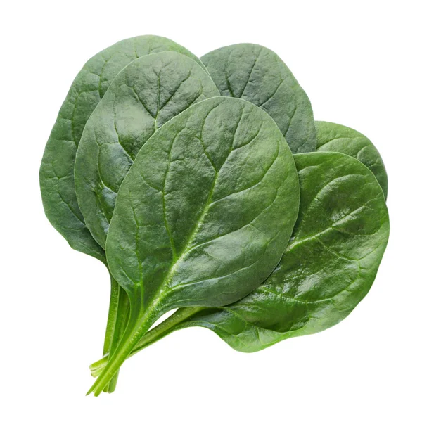 Fresh Spinach Leaves Close White Background Isolated — Stock Photo, Image
