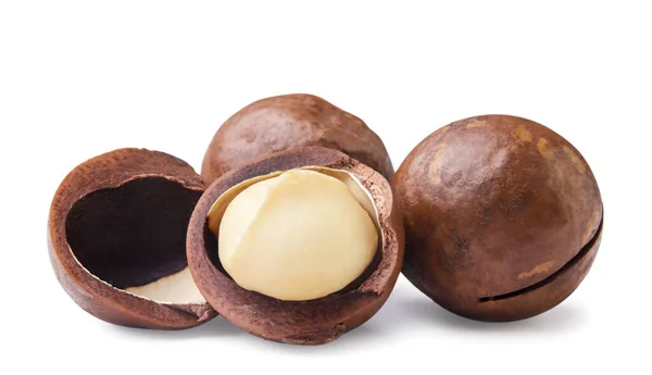 Macadamia Nuts Broken Close White Background Isolated — Stock Photo, Image