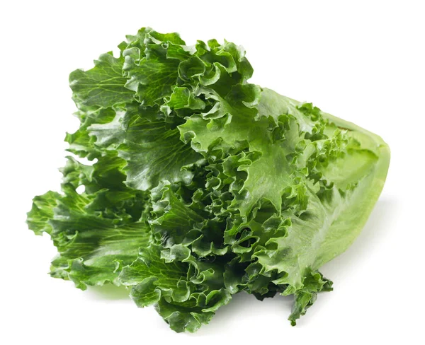 Fresh Lettuce Leaves Close White Background Isolated — Stock Photo, Image