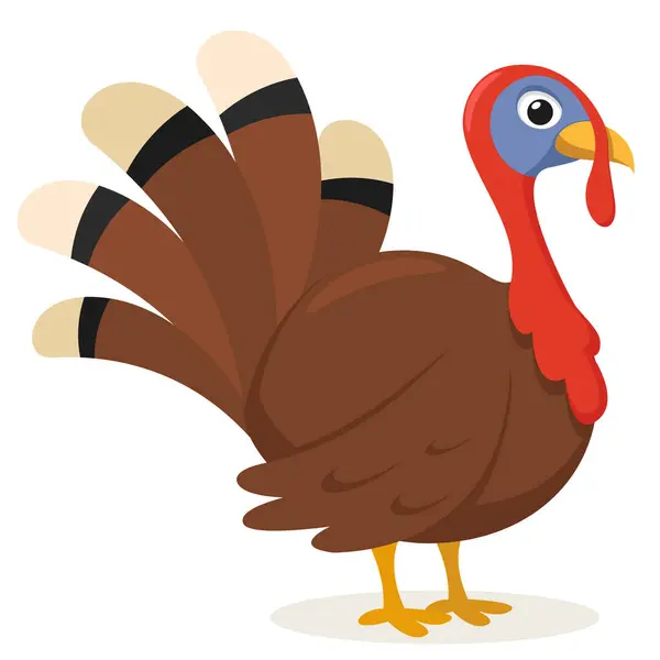 トルコの鳥は白い背景にふわふわの尾を閉じています 感謝祭のキャラクター — ストックベクタ