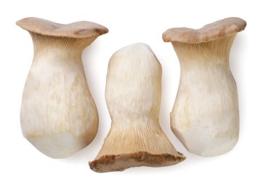 Beyaz arka planda Eringi mantarları. Üst görünüm