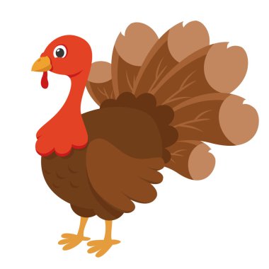 Beyaz arka planda tüylü kuyruklu hindi kuşu. Şükran Günü