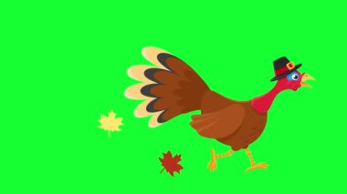 Şapka takan Şükran Günü hindisi ve yeşil arka planda patilerinin altından sonbahar yaprakları uçuyor. Mutlu Şükran Günleri