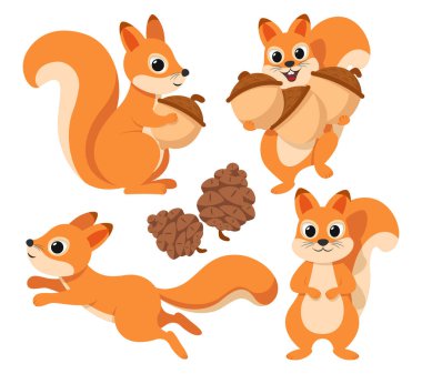 Farklı pozlarda sincaplar. Beyaz arka planda meşe palamutları ve konileri olan sincap karakteri