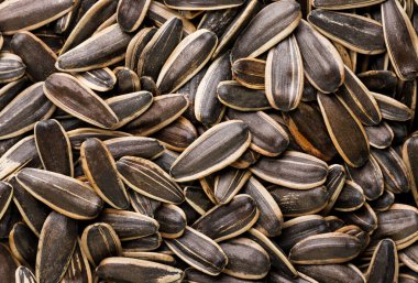 Çekirdek çekirdekleri yakın plan çizgili, arka plan. Üst görünüm