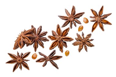 Yıldız anasonu ve tohumlar beyaz arka planda yakın planda uçuyor. İzole edilmiş