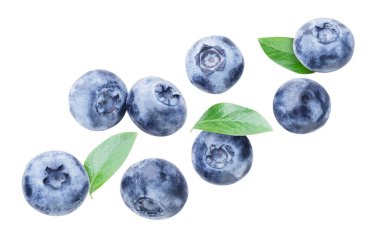 Beyaz arka planda yaprakları uçuşan yabanmersini. İzole edilmiş