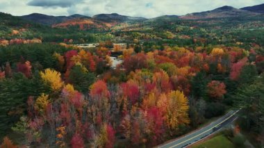 Göz kamaştırıcı doğa renkleriyle güzel sonbahar yapraklarının havadan görünüşü