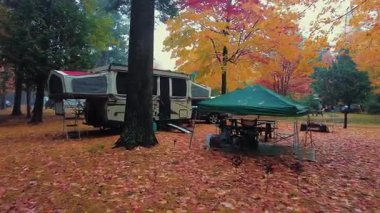 Adirondack Yukarı New York Eyaleti 'nde sonbahar renkleriyle kamp alanındaki orman manzarası çok güzel.