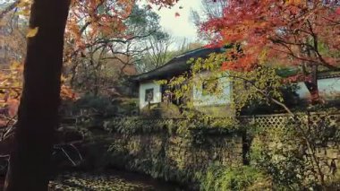 Hupao ya da Çin 'in Hangzhou kentindeki Tiger Spring Parkı' nın Hayali