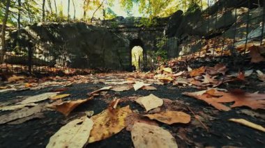 Sonbaharda New York 'ta, ABD' de ağır çekimde, yol üzerindeki Stone Köprüsü.