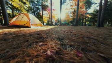 Adirondack Yukarı New York Eyaleti 'nde sonbahar renkleriyle kamp alanındaki orman manzarası çok güzel.
