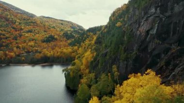 Göz kamaştırıcı doğa renkleriyle güzel sonbahar yapraklarının havadan görünüşü