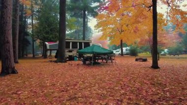 Adirondack Yukarı New York Eyaleti 'nde sonbahar renkleriyle kamp alanındaki orman manzarası çok güzel.